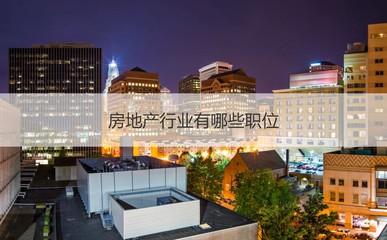 南寧振寧房地產概況與房地產銷售、策劃代理入門指南